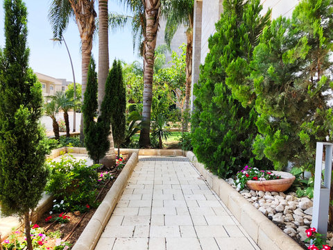 City park grounds with Green Palm trees, hedge, shrubs, and pathway.