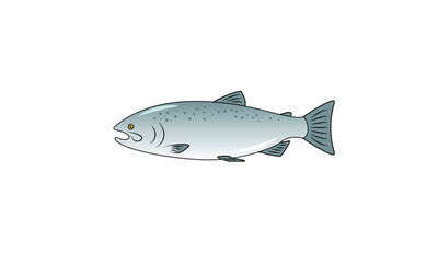 Salmon fish vector illustration. Flat cartoonish Atlantic salmon fish. Isolated on white. Perfect for menus, prints, cards.