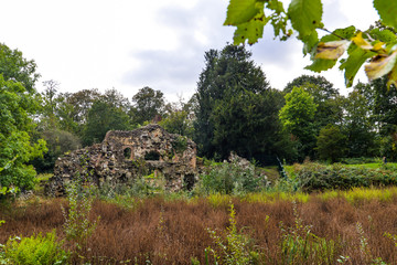 Fototapete bei efototapeten.de bestellen   