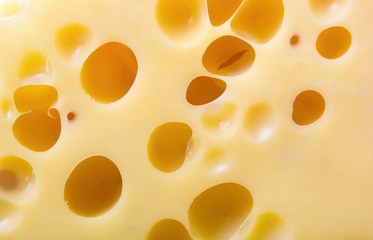 Cheddar cheese background