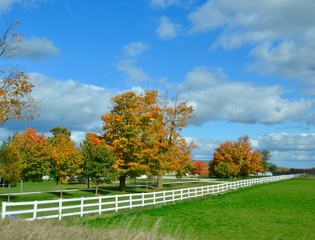 Autumn Farm with white fence