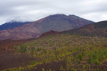 Teneriffa - Teide