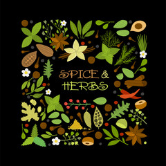 Spice shop design template, herbs and spices background