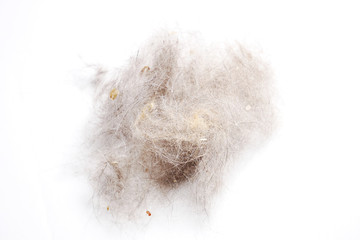 Wad fur ball on white background