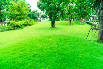 Beautiful gardens, green lawns, Front lawn for background, Garden design, Beautiful shady landscape, House with garden