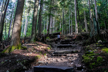Grouse Grind Trail in Vancouver. Grouse Mountain is one of the North Shore Mountains in...
