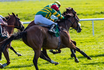 Horse racing action, close up on race horse and jockey galloping at speed for first place position, motion blur speed effect