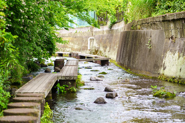 Wood step on river ,Gempeigawa or Mishima small rivers a peaceful walk along stepping wood bridge and stones around the area of Mishima station Shibahoncho Shizuoka Japan.