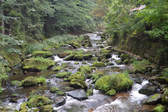 Karpaty