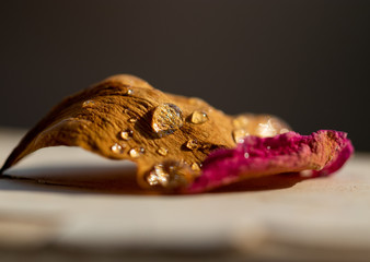 Fototapeta premium Rose leaf and water drops
