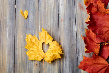 Naklejka na ściany i meble autumn leaves on a wooden background removed