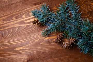 wooden background with fir tree