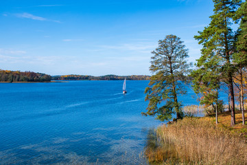 Wonderful autumn landscape with pine trees, beautiful yellow and orange colored trees, lake with boat and reeds in the foreground