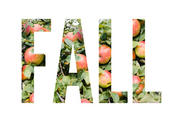 Fall Word Filled with Apples, Fall Concept Isolated on White Background, Fall Word Graphics