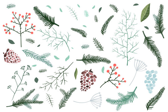 Christmas Fir tree and pine branches objects collection with cones and winter florals.