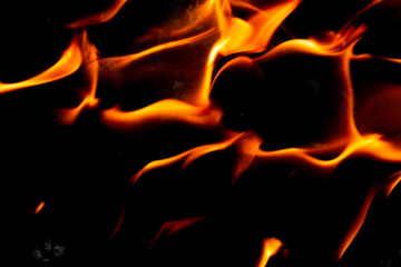 Fototapeta premium Bright blazing fire. Fire. The texture of fire.
