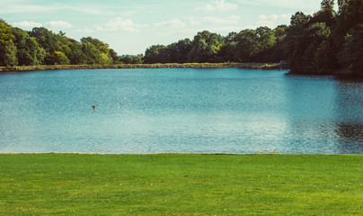 view of the lake near the forest and a lot of green grass © magorzata