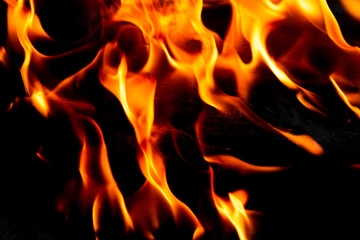 Bright blazing fire. Fire. The texture of fire.