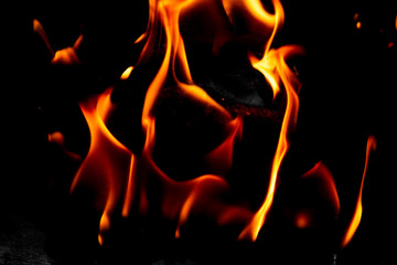 Fototapeta premium Bright blazing fire. Fire. The texture of fire.