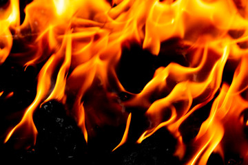 Bright blazing fire. Fire. The texture of fire.
