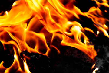 Fototapeta premium Bright blazing fire. Fire. The texture of fire.