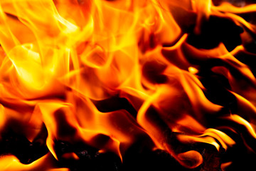 Bright blazing fire. Fire. The texture of fire.