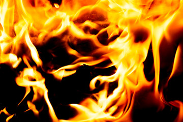Fototapeta premium Bright blazing fire. Fire. The texture of fire.