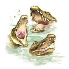 Three wild attacker from the water crocodiles or Alligators with open mouth. Watercolor hand drawn illustration  isolated on white background