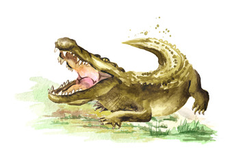 Obraz premium Wild attacker forward crocodile or Alligator with open mouth. Watercolor hand drawn illustration isolated on white background