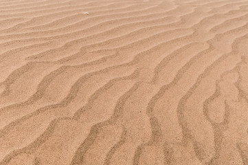 Fototapeta na wymiar Ripples in the sand