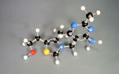 Molecule model of Vitamin B1. White is Hydrogen, black is Carbon, red is  Oxygen,  White is Hydrogen, black is Carbon, red is Oxygen, yellow is Sulphur and blue is Nitrogen.