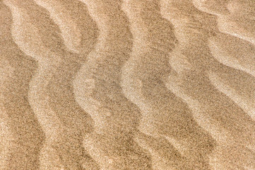 Fototapeta na wymiar Texture of golden sand