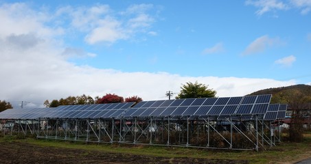 Obraz premium Solar panels absorb sunlight as a source of energy to generate direct current electricity. 