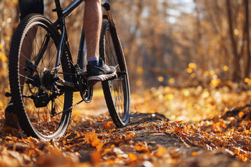 Male cyclist riding a bike in the autumn forest in warm weather. Active lifestyle - Powered by Adobe