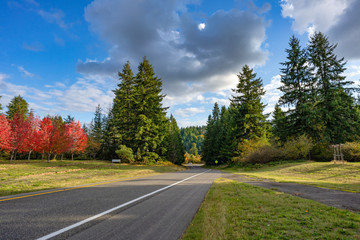 Fototapeta premium Rural Highway In Western United States