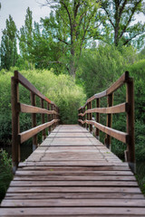 Wooden bridge that crosses nature. Vertical.