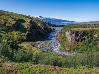 Fototapeta na wymiar Icelandic landscape with blue Markarfljot river canyon, pink flowers, birch bush,green hills and eyjafjallajokull volcano glacier. Laugavegur hiking trail. Fjallabak Nature Reserve, Iceland. Summer