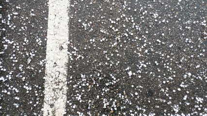 A path divided by a white line. Dirty road. New  journey with difficulties. Great for life path concept. The road is covered with hail.  Line of traffic held. 