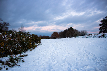 Snow