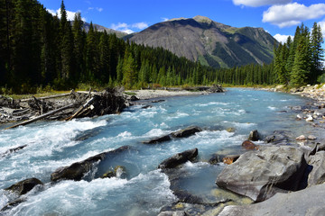 The Bow river meandering by mountains and forests through the bow valley in Banff national park,  Alberta,  Canada.