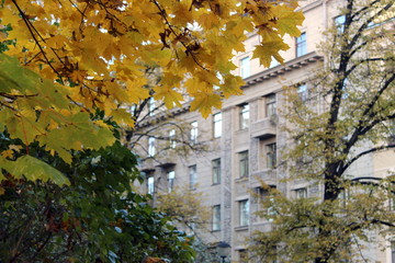 autumn in the city