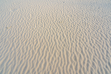 Patterns of the shifting winds in the White Sands