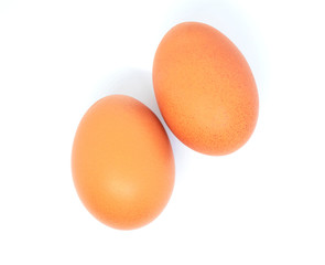 close-up egg chicken isolated on white background