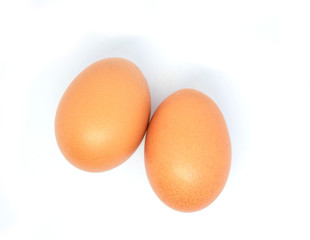 close-up egg chicken isolated on white background