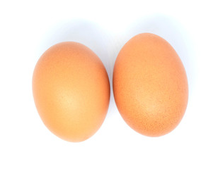 close-up egg chicken