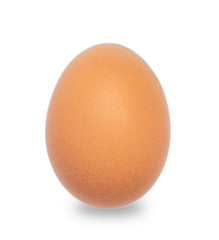 close-up single egg chicken