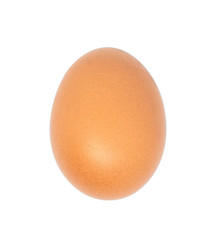 close-up single egg chicken