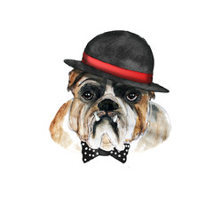 Watercolor hand drawn artistic  hipster french bulldog portrait  in victorian  bowler hat  cartoon  vintage icon