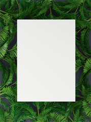 banner, poster with palm leaves, jungle leaf. tropical background 3d rendering