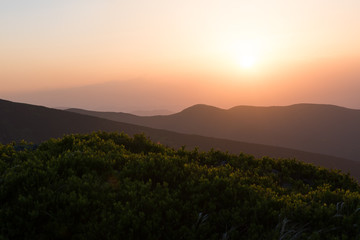 Colorful Sunset Above Summer Landscape